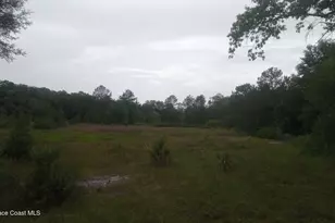 125 Moiser Ln, Melrose, FL 32666 - Photo 63