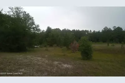 125 Moiser Lane, Melrose, FL 32666 - Photo 39