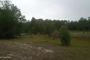 125 Moiser Ln, Melrose, FL 32666 - Photo 39