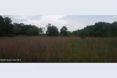 125 Moiser Lane, Melrose, FL 32666 - Photo 61