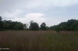 125 Moiser Ln, Melrose, FL 32666 - Photo 61