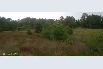 125 Moiser Lane, Melrose, FL 32666 - Photo 55