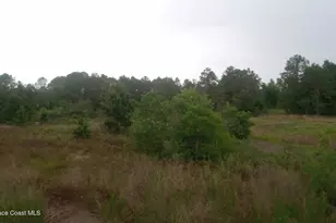 125 Moiser Ln, Melrose, FL 32666 - Photo 55