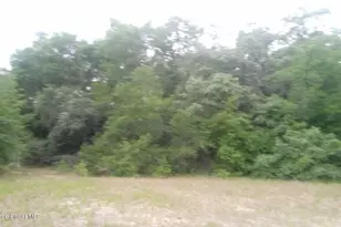 125 Moiser Ln, Melrose, FL 32666 - Photo 45