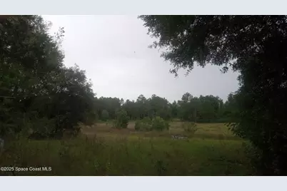 125 Moiser Lane, Melrose, FL 32666 - Photo 53