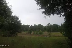 125 Moiser Ln, Melrose, FL 32666 - Photo 53