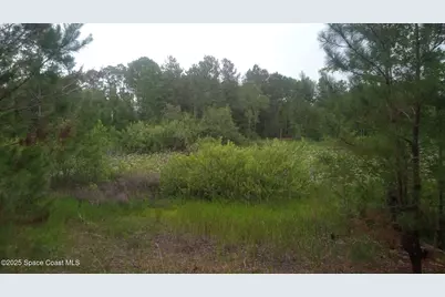 125 Moiser Lane, Melrose, FL 32666 - Photo 57