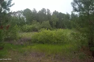 125 Moiser Ln, Melrose, FL 32666 - Photo 57