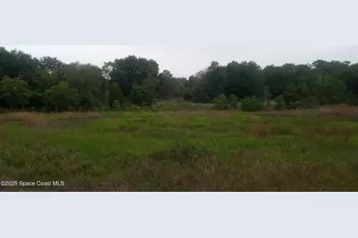 125 Moiser Lane, Melrose, FL 32666 - Photo 65