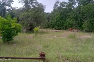 125 Moiser Ln, Melrose, FL 32666 - Photo 33