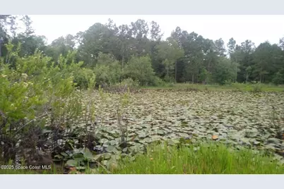 125 Moiser Lane, Melrose, FL 32666 - Photo 59