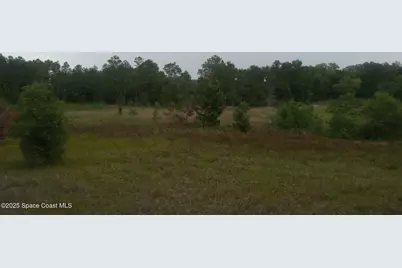 125 Moiser Lane, Melrose, FL 32666 - Photo 41