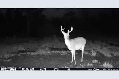 0000 Unknown, Mims, FL 32754 - Photo 17