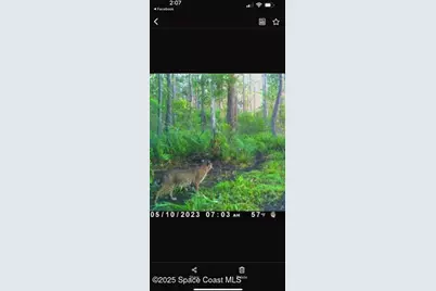 0000 Unknown, Mims, FL 32754 - Photo 27