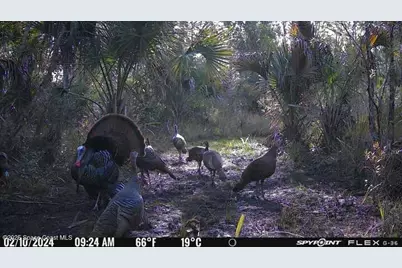 0000 Unknown, Mims, FL 32754 - Photo 21