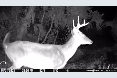 0000 Unknown, Mims, FL 32754 - Photo 19