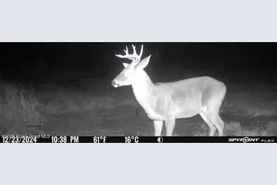 0000 Unknown, Mims, FL 32754 - Photo 31