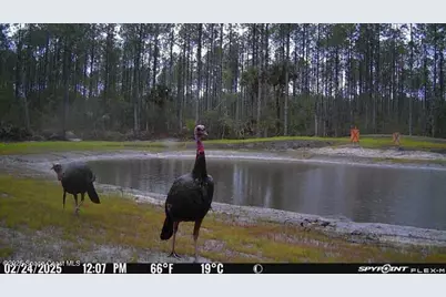 0000 Unknown, Mims, FL 32754 - Photo 15