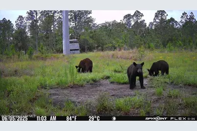 0000 Unknown, Mims, FL 32754 - Photo 23