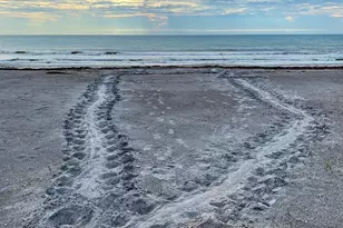 2375 S Atlantic Ave, Cocoa Beach, FL 32931 - Photo 35