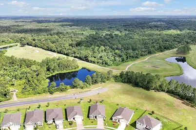 3573 Sandhill Crane Circle, Mims, FL 32754 - Photo 35