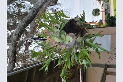 2557 Pineapple Avenue, Melbourne, FL 32935 - Photo 35