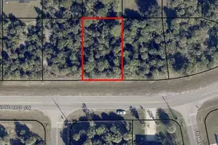 323 St Andre Blvd SW, Palm Bay, FL 32908 - Photo 1