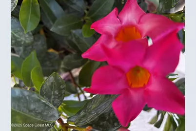 4800 Ocean Beach Boulevard #226, Cocoa Beach, FL 32931 - Photo 17