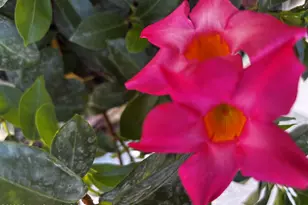 4800 Ocean Beach Blvd, Cocoa Beach, FL 32931 - Photo 17