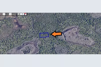 None Unknown, Grant-Valkaria, FL 32949 - Photo 3