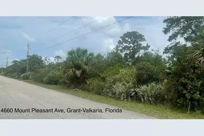 4660 Mount Pleasant Avenue, Grant-Valkaria, FL 32949 - Photo 1