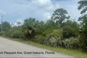 4660 Mt Pleasant Ave, Grant-Valkaria, FL 32949 - Photo 1