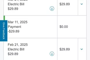 1121 Morgan Cir NE, Palm Bay, FL 32905 - Photo 59