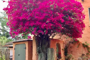 26 Orange Ave, Rockledge, FL 32955 - Photo 29