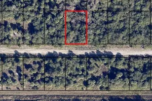 677 Parrotfish Street SW, Palm Bay, FL 32908 - Photo 1