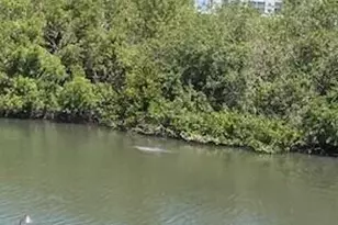 300 Columbia Dr, Cape Canaveral, FL 32920 - Photo 23