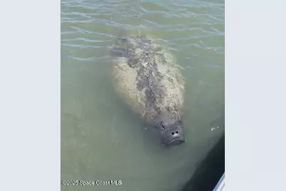 300 Columbia Drive #1206, Cape Canaveral, FL 32920 - Photo 21