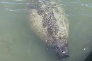 300 Columbia Dr, Cape Canaveral, FL 32920 - Photo 21