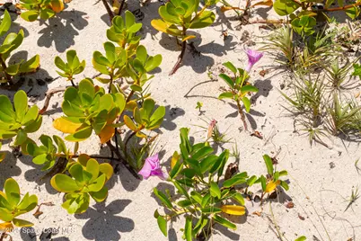 5635 Highway A1A #A701, Melbourne Beach, FL 32951 - Photo 73