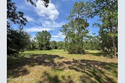 4300 Justa Road, Mims, FL 32754 - Photo 33