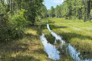 4300 Justa Rd, Mims, FL 32754 - Photo 29