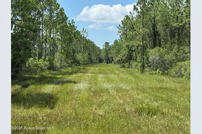 4300 Justa Road, Mims, FL 32754 - Photo 5