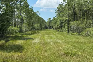 4300 Justa Rd, Mims, FL 32754 - Photo 5