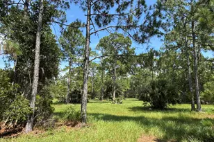 4300 Justa Rd, Mims, FL 32754 - Photo 31