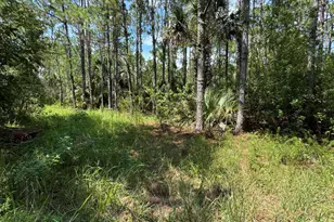 4300 Justa Rd, Mims, FL 32754 - Photo 41