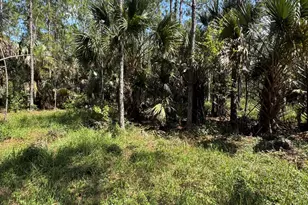 4300 Justa Rd, Mims, FL 32754 - Photo 37