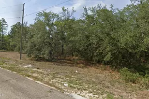 6940 N Lime Dr, Dunnellon, FL 34433 - Photo 1