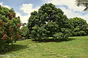 285 Utopia Cir, Merritt Island, FL 32952 - Photo 29