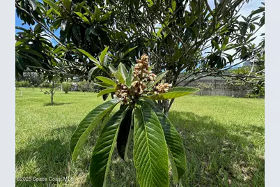 101 S Singleton Avenue, Titusville, FL 32796 - Photo 55