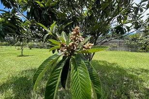 101 S Singleton Ave, Titusville, FL 32796 - Photo 55